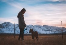 6 myths about emotional support animals dog as emotional support animal
