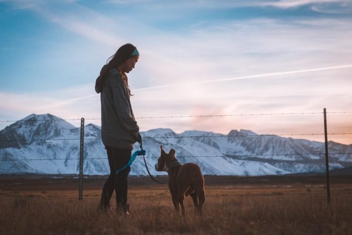 dog as emotional support animal