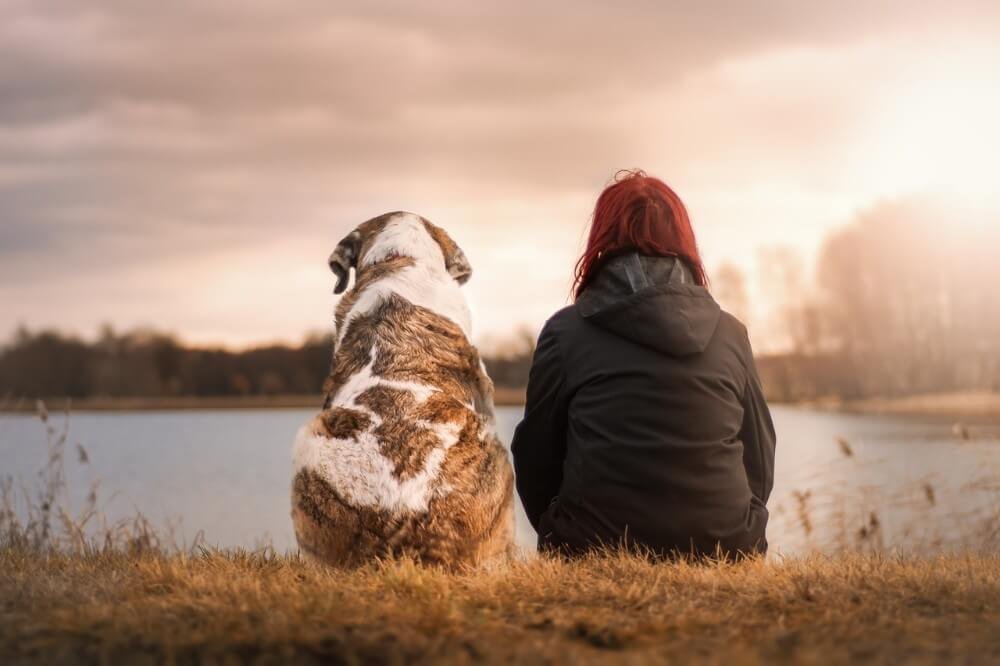 emotional support animal