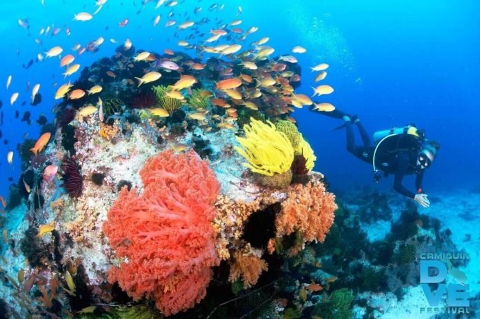 Dive tourism in Camiguin
